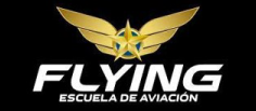 fly